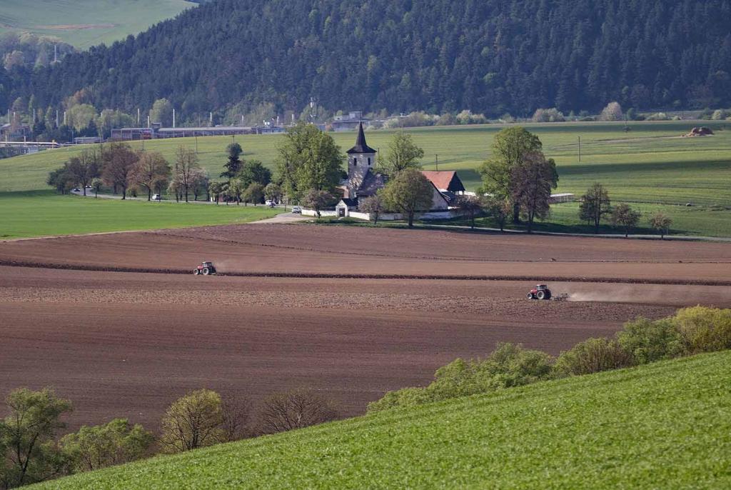 Krumpir lani koštao 0,60 KM, a sada 2 KM, vreća kupusa s 4 skočila na 16 KM