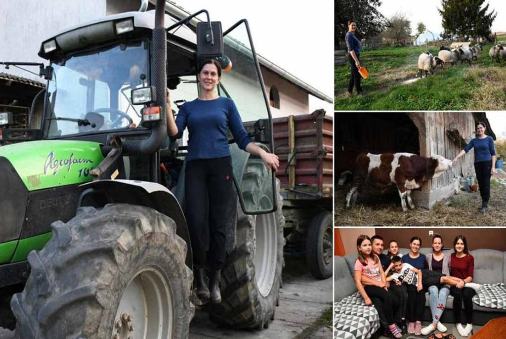 U njezinom radnom danu nema puno stanki, od ranog jutra muze krave, sprema djecu za školu ...