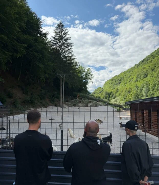 Izvršni direktor Brabusa stigao u BiH zbog posebnog projekta: “Rade fantastičan posao” Izvršni direktor Brabusa stigao u BiH zbog posebnog projekta: “Rade fantastičan posao”