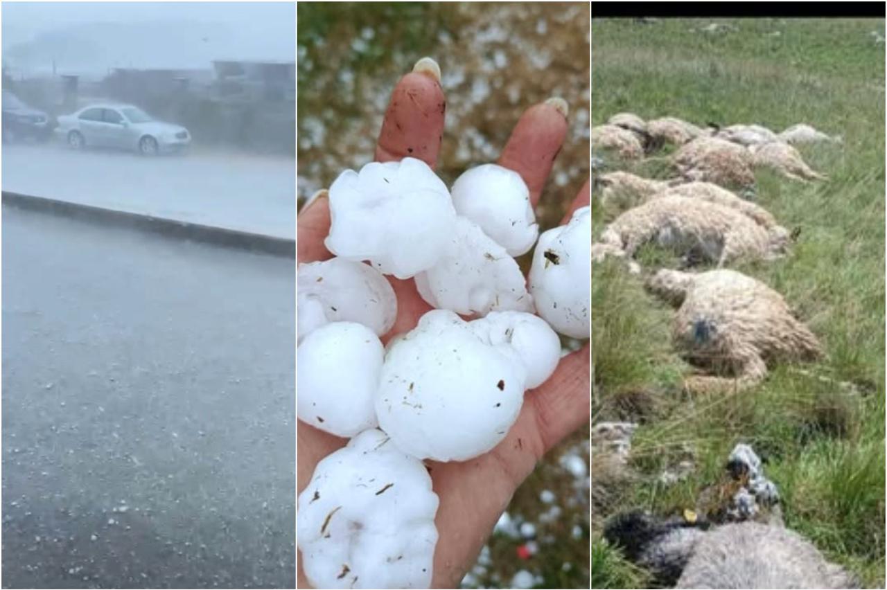 OLUJNI DAN: Super ćelijska tutnji Hercegovinom, grom ubio stado ovaca OLUJNI DAN: Super ćelijska tutnji Hercegovinom, grom ubio stado ovaca